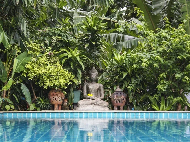 7 Day Kata Hot Yoga Holiday in Phuket (14).webp