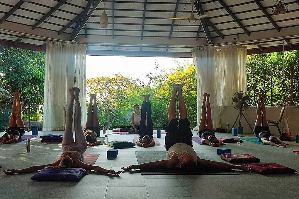7 Day Luxury Master Herbal Detox Retreat Program B in Koh Samui (15) (1).webp
