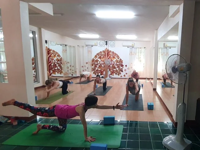 7 Day Meditation, Yoga and Cultural Immersion Retreat in Doi Saket, Chiang Mai (12).webp