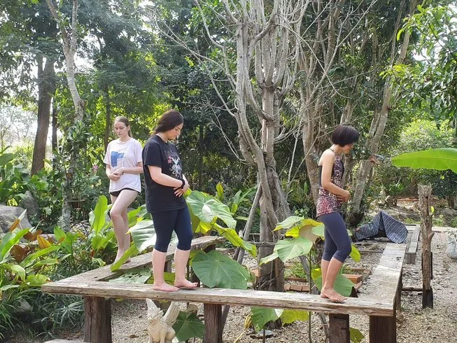 7 Day Meditation, Yoga and Cultural Immersion Retreat in Doi Saket, Chiang Mai (21).webp