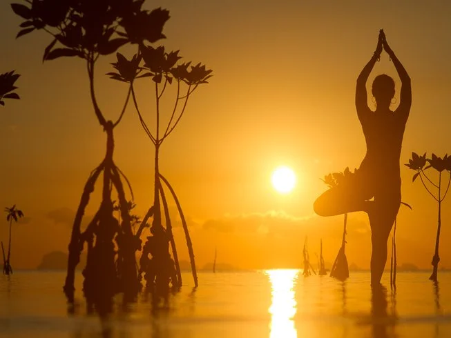 7 Day Rejuvenation and Cultural Experience Yoga Retreat in the South of Thailand (23).webp