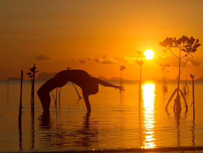 7 Day Rejuvenation and Cultural Experience Yoga Retreat in the South of Thailand (24).webp