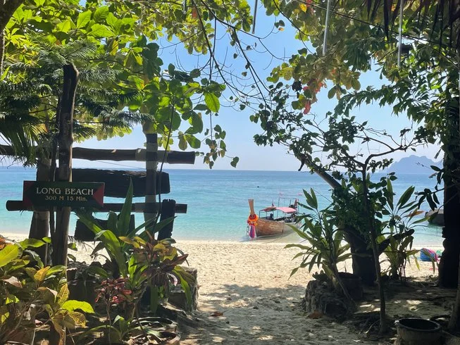 7 Day Rejuvenation and Cultural Experience Yoga Retreat in the South of Thailand (6).webp