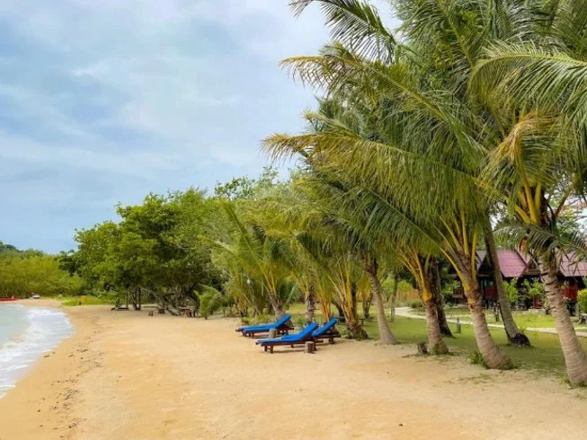 7 Day The Beauty of Simplicity Yoga Holiday in Koh Yao Noi, Ko Yao District (3).webp