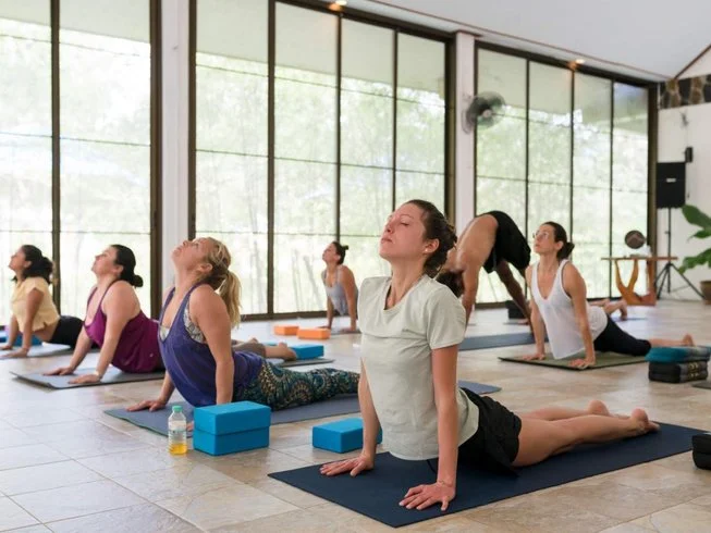 8 Day Detox and Yoga Retreat in Koh Pha Ngan (17) (1).webp