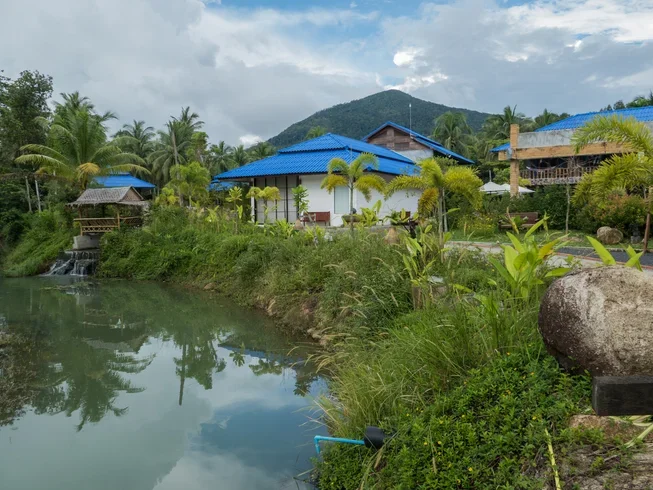 8 Day Detox and Yoga Retreat in Koh Pha Ngan (4) (1).webp