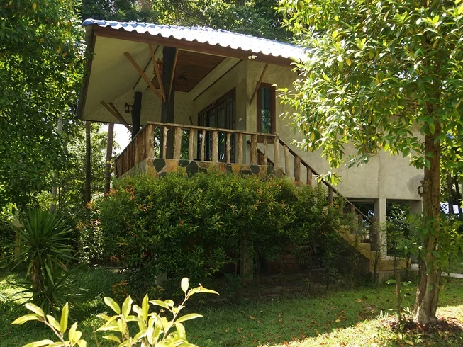 8 Day Detox and Yoga Retreat in Koh Pha Ngan (45).webp