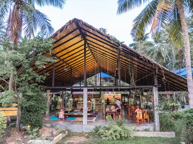 8 Day Detox and Yoga Retreat in Koh Pha Ngan (7).webp