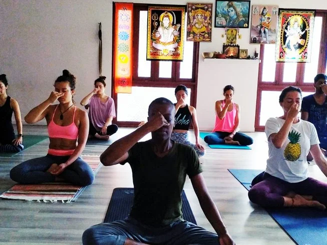8 Day Intensive Ashtanga Yoga Retreat in Phuket (19).webp