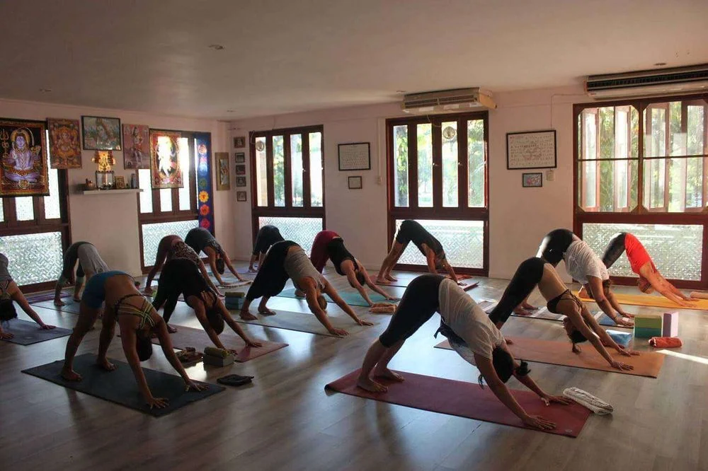 8 Day Intensive Ashtanga Yoga Retreat in Phuket (24).webp