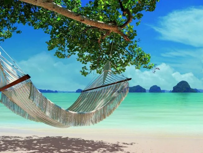 8 Day Luxury Wellness Detox Retreat in Paradise Island of Koh Samui, Surat Thani (5).webp