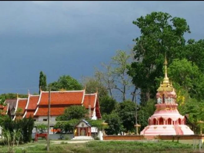8 Day Transformative Yoga and Wellness Retreat with Massages in Chiang Mai (24).webp