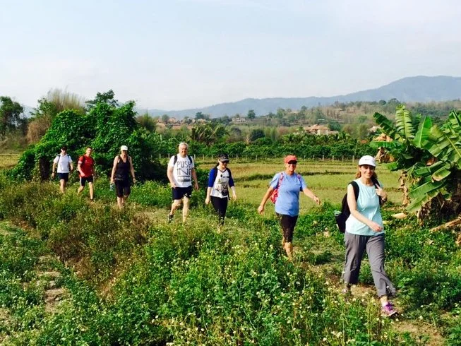 8 Day Transformative Yoga and Wellness Retreat with Massages in Chiang Mai (27).webp