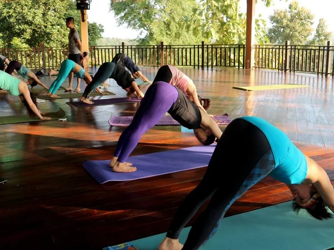 8 Day Transformative Yoga and Wellness Retreat with Massages in Chiang Mai (9).webp