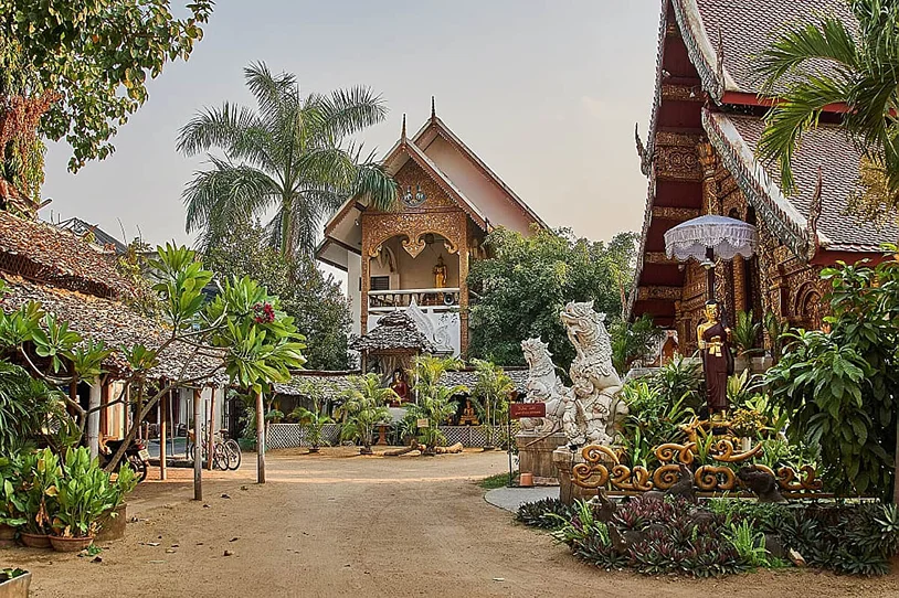 8 Day Yoga Retreat & Adventure in Chiang Mai, Thailand (21).webp