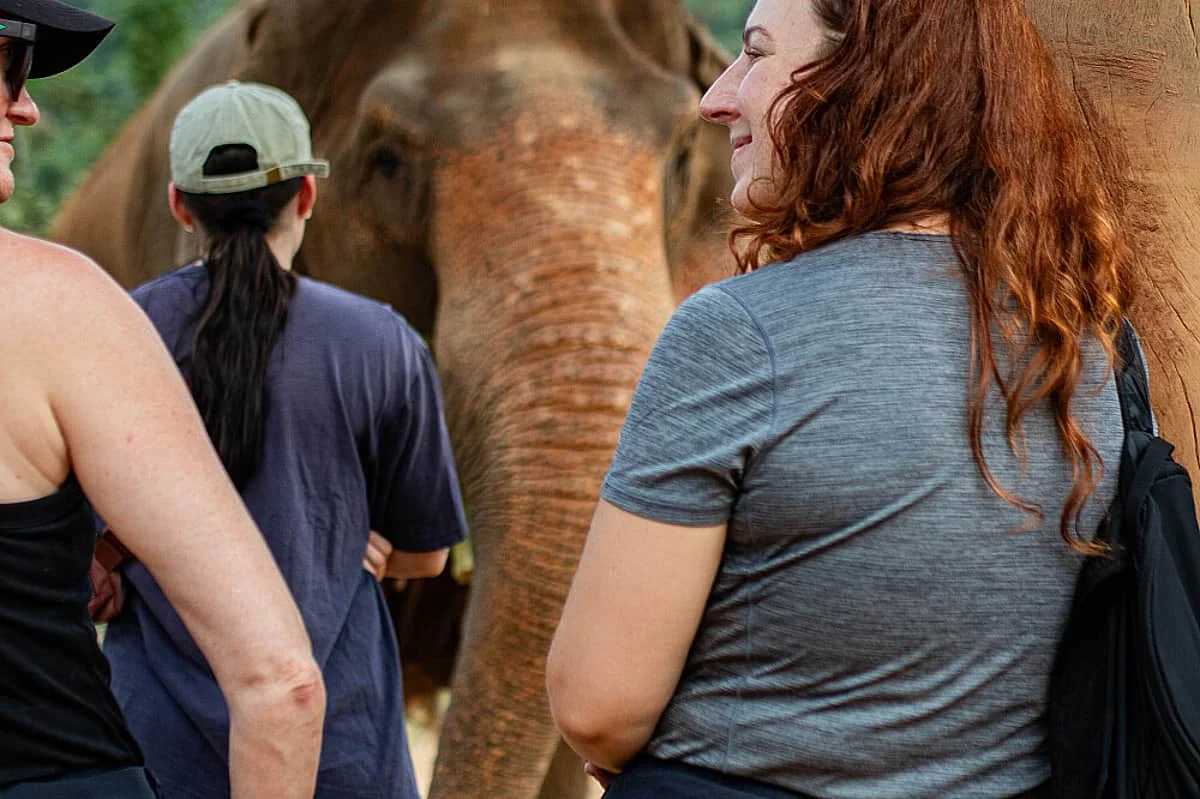 8 Day Yoga Retreat & Adventure in Chiang Mai, Thailand (28).webp