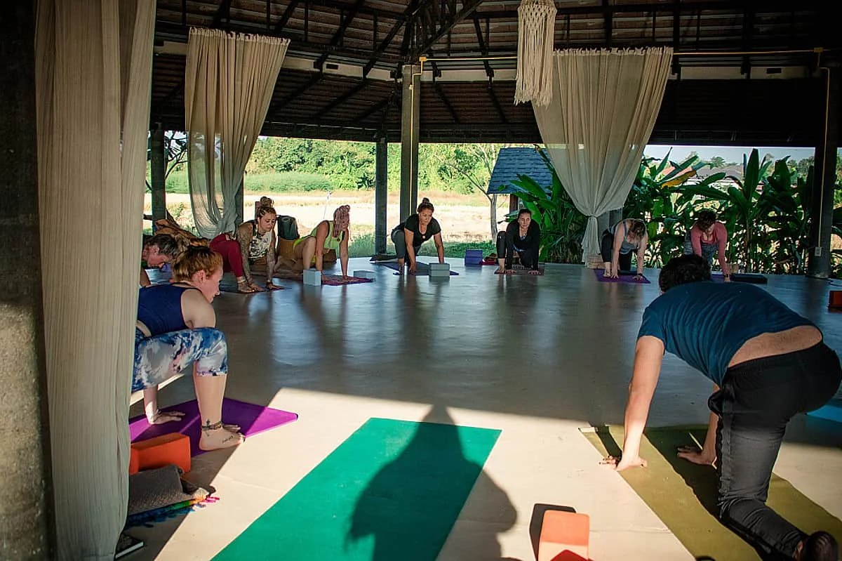 8 Day Yoga Retreat & Adventure in Chiang Mai, Thailand (35).webp