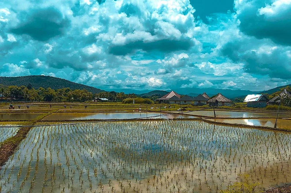 8 Day Yoga Retreat & Adventure in Chiang Mai, Thailand (7).webp