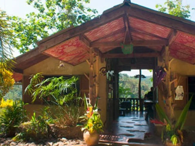 8 Day Yoga and the Taste of Thailand Holiday With Cooking in the Jungle of Paksong, Chumpon (7) (1).webp