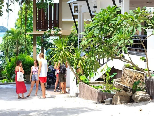 Self-Paced 50-Hour The Roots, Elements, and Nature Yoga Training For Women in Koh Phangan, Thailand (7).webp