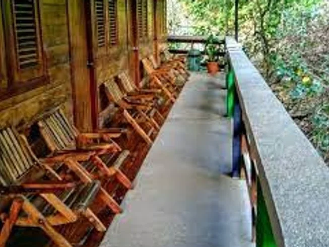 5 Day Meditation and Yoga Wellness Retreat in Montezuma, Costa Rica (5).webp
