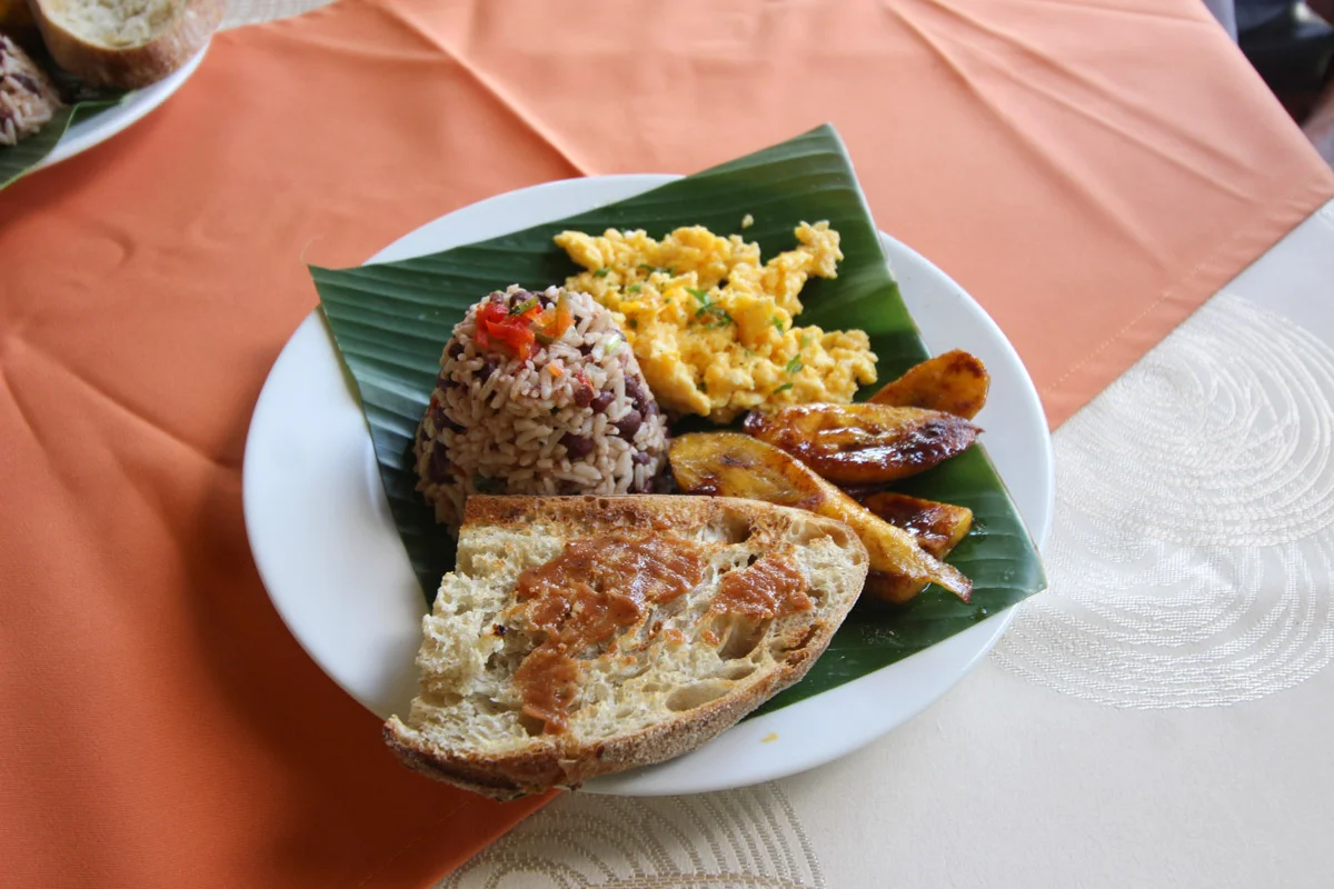 6 Day Wellness Retreat with Optional Detox, Turrubares in San Jose, Costa Rica (19).webp