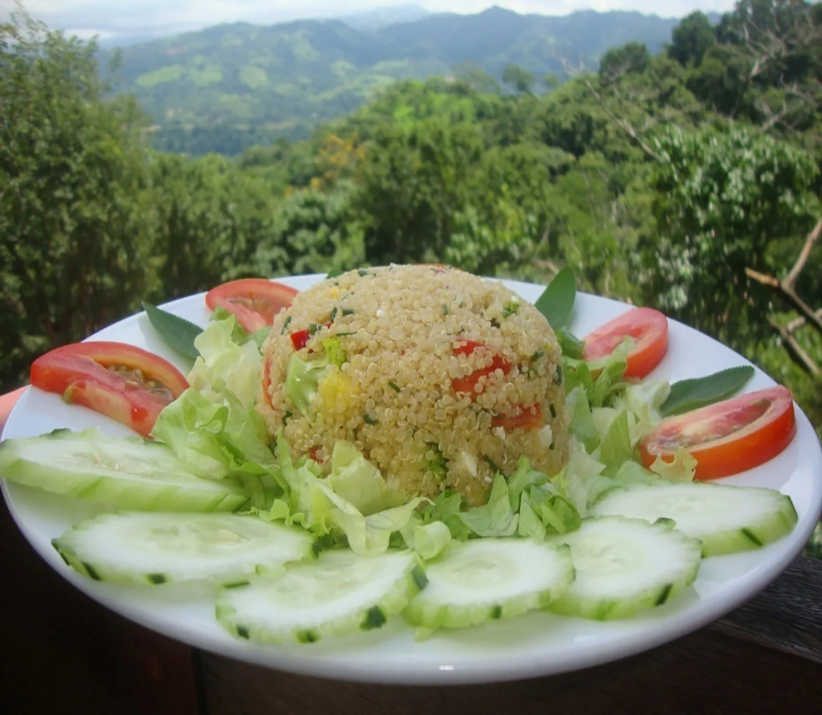 8 Day Reset and Adventure Holiday with Yoga and Meditation, Turrubares in San Jose Province, Costa Rica (2).webp
