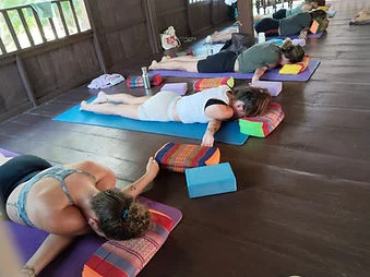 6 Day 50 Hours PranayamaBreathwork Teacher Training in Koh Samui, Thailand (33).webp