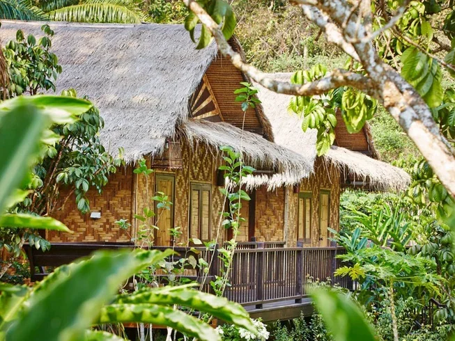 15 day sacred waters hot spring yoga tour and beach bliss in the province of krabi 91731577451.webp