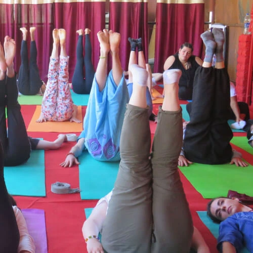 om yoga ashram61736162512.webp