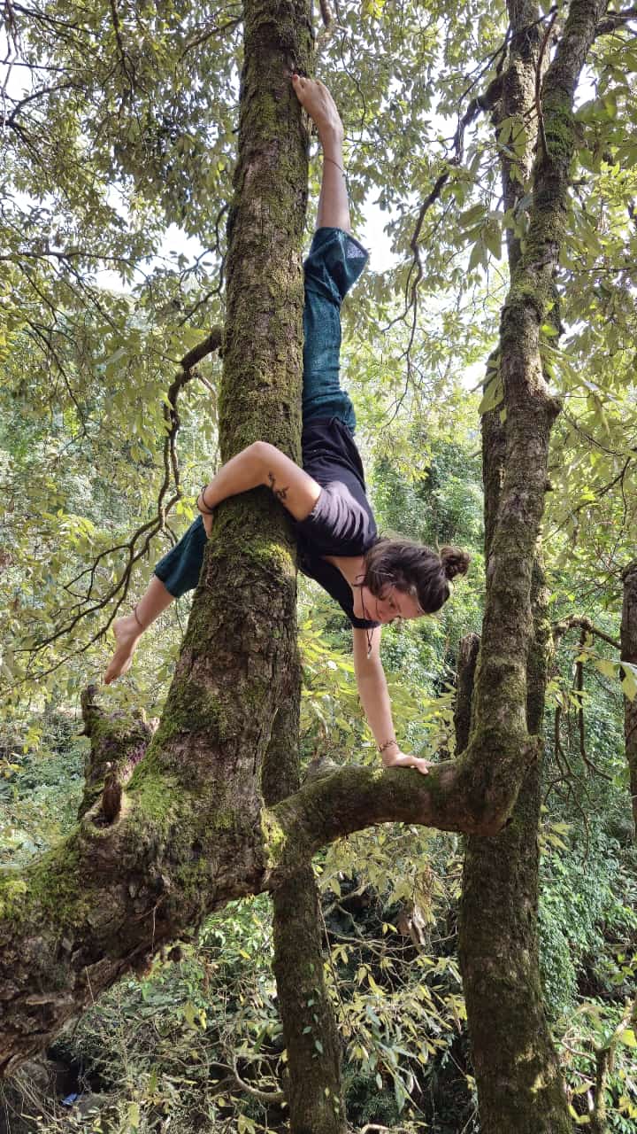 om yoga dharamsala101737027414.jpg