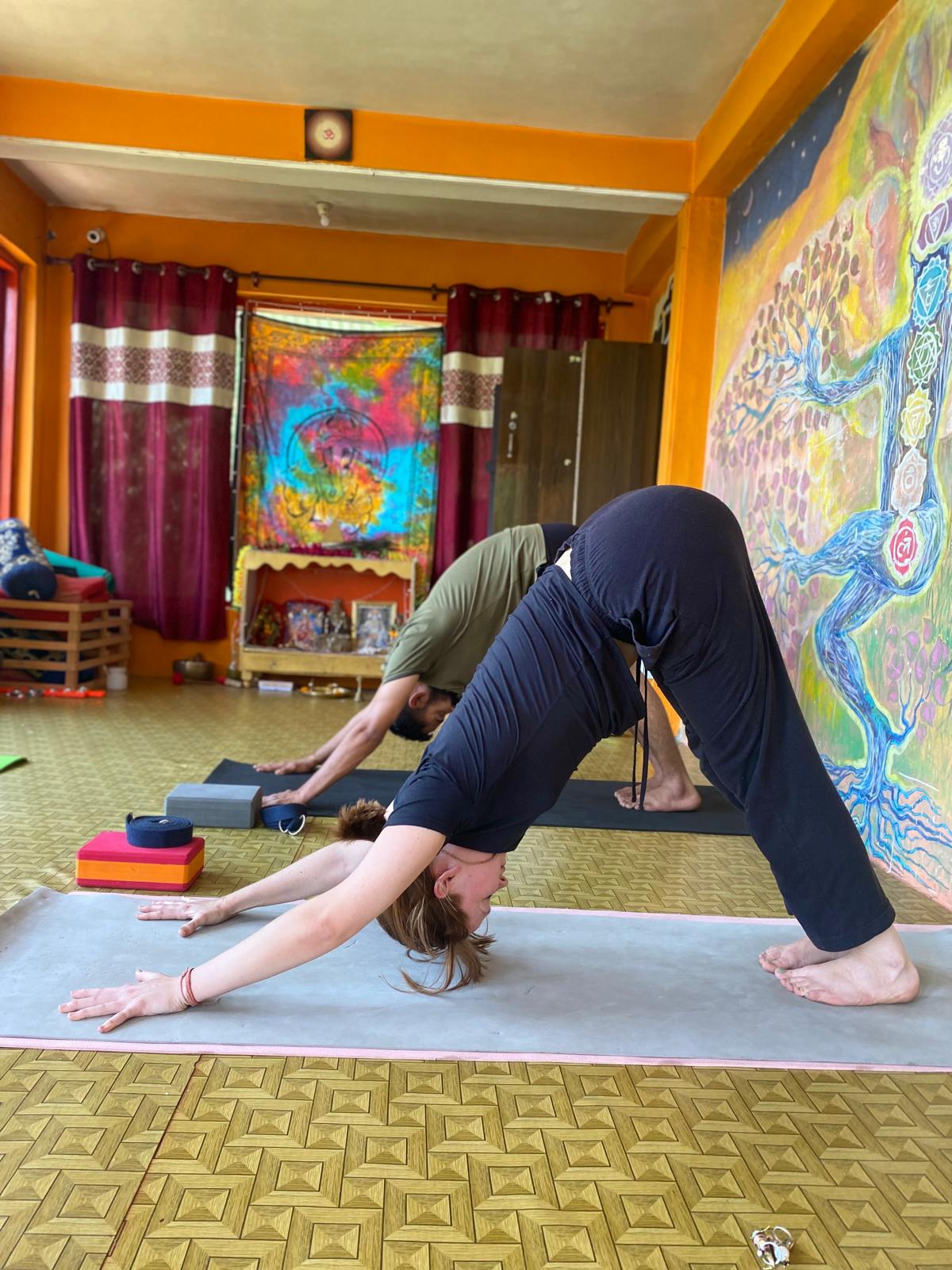 om yoga dharamsala111737027460.jpg
