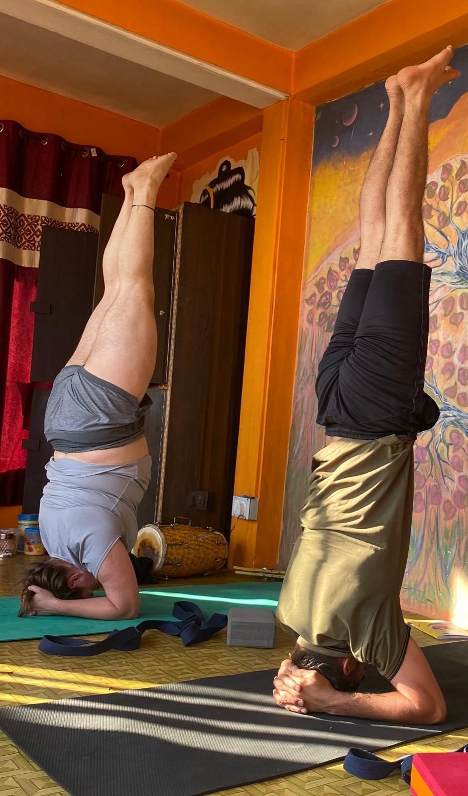 om yoga dharamsala141737027415.jpg