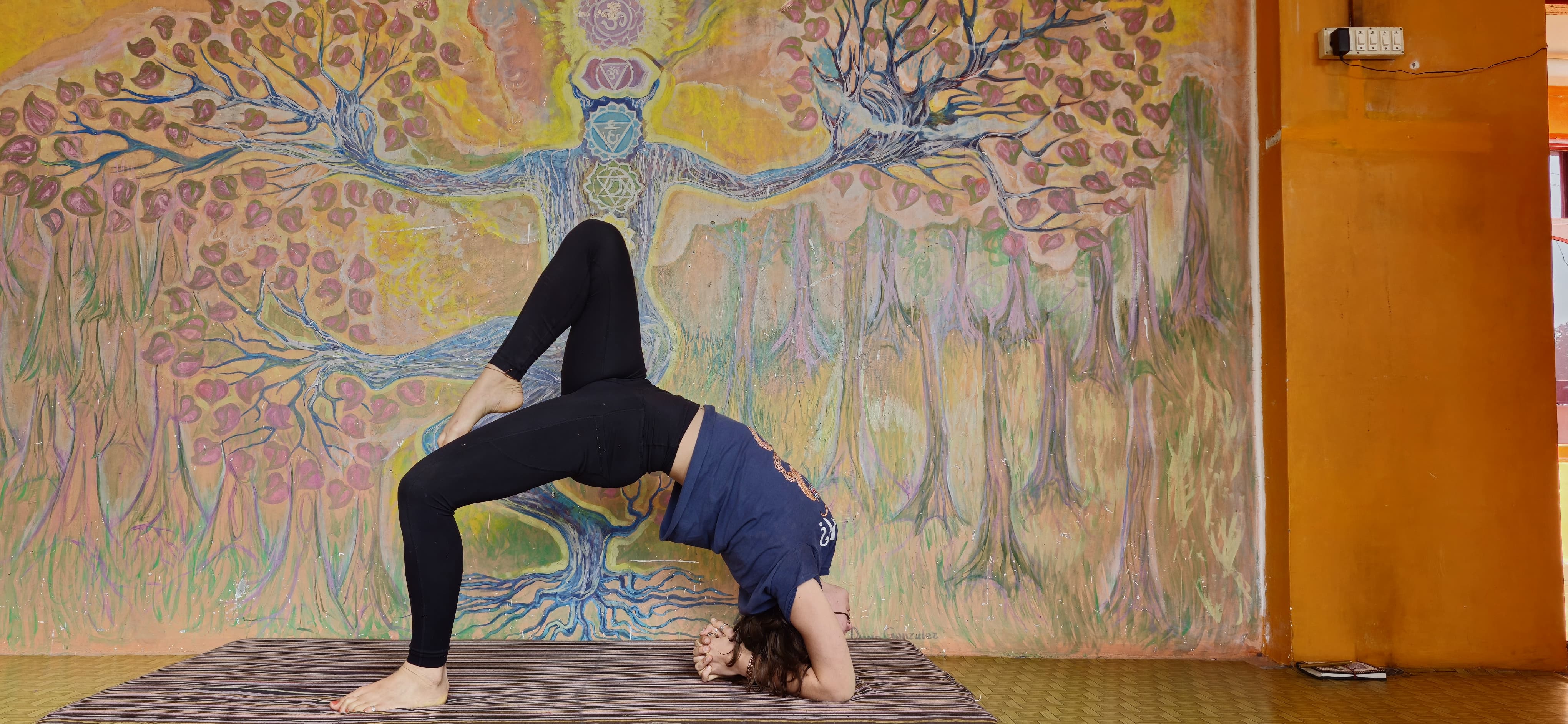 om yoga dharamsala71737027306.jpg