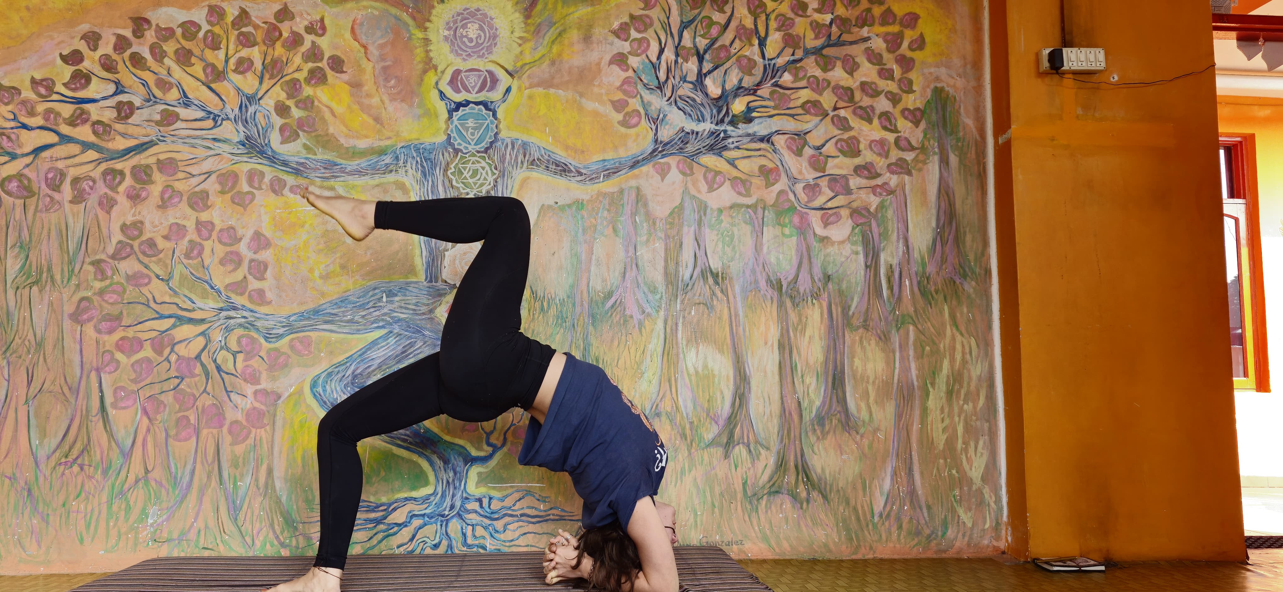 om yoga dharamsala91737027307.jpg