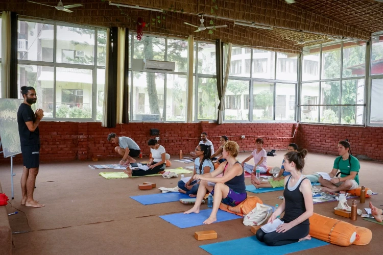 heartland yoga goa61738324467.webp