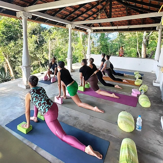 welikande yoga retreats291741085686.webp