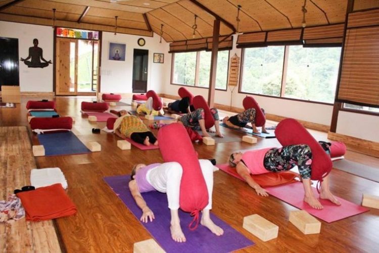 veda 5 wellness retreat rishikesh 401741606377.jpg