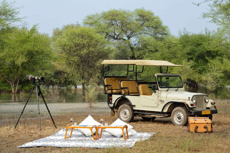 3 picnic   raas chhatrasagar1741661570.webp