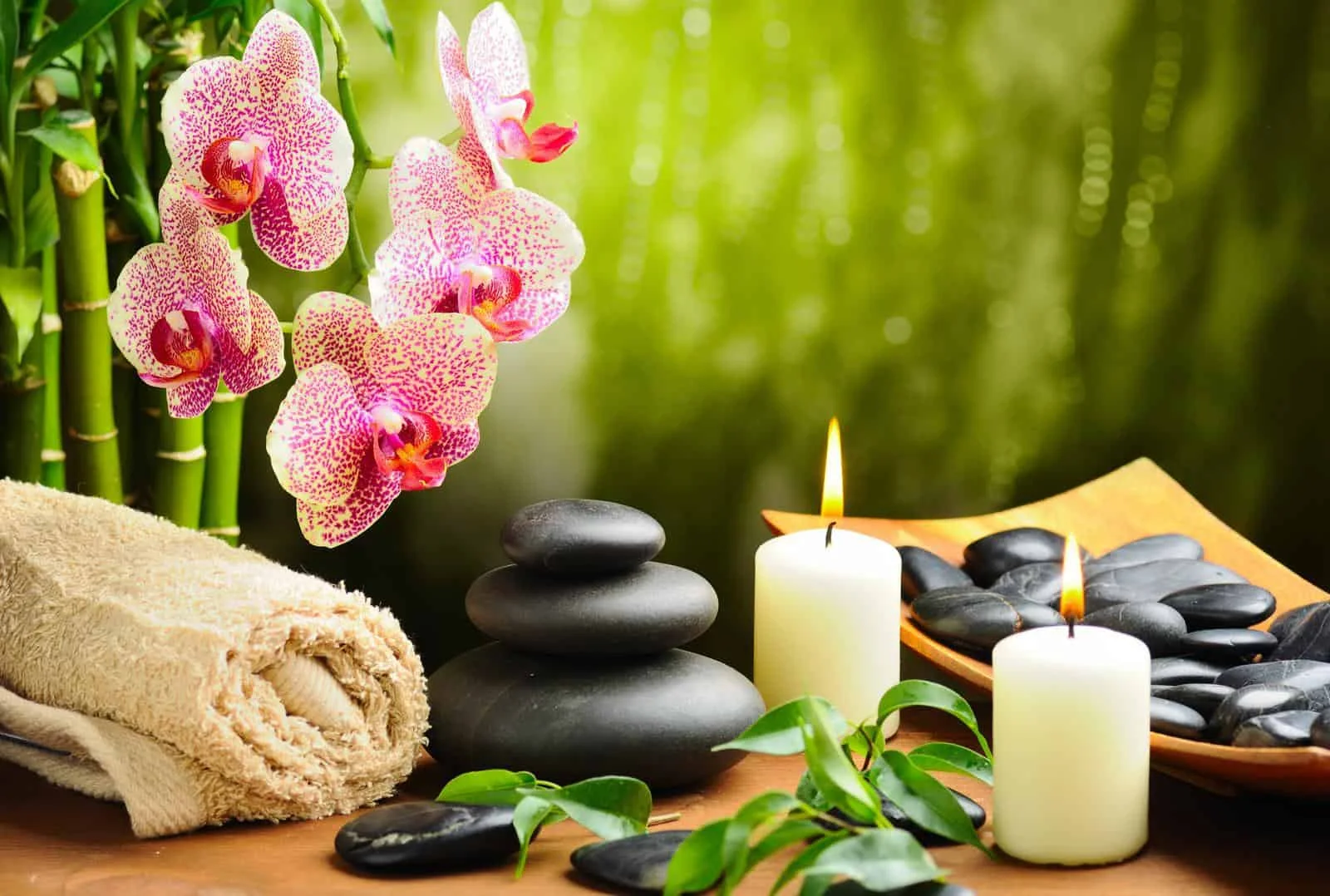 namasthe ayurveda and yoga retreat 311743675497.webp
