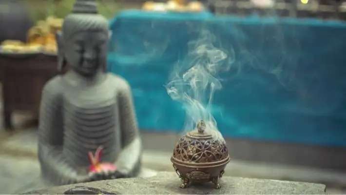 nalanda retreat goa 71744456303.jpg