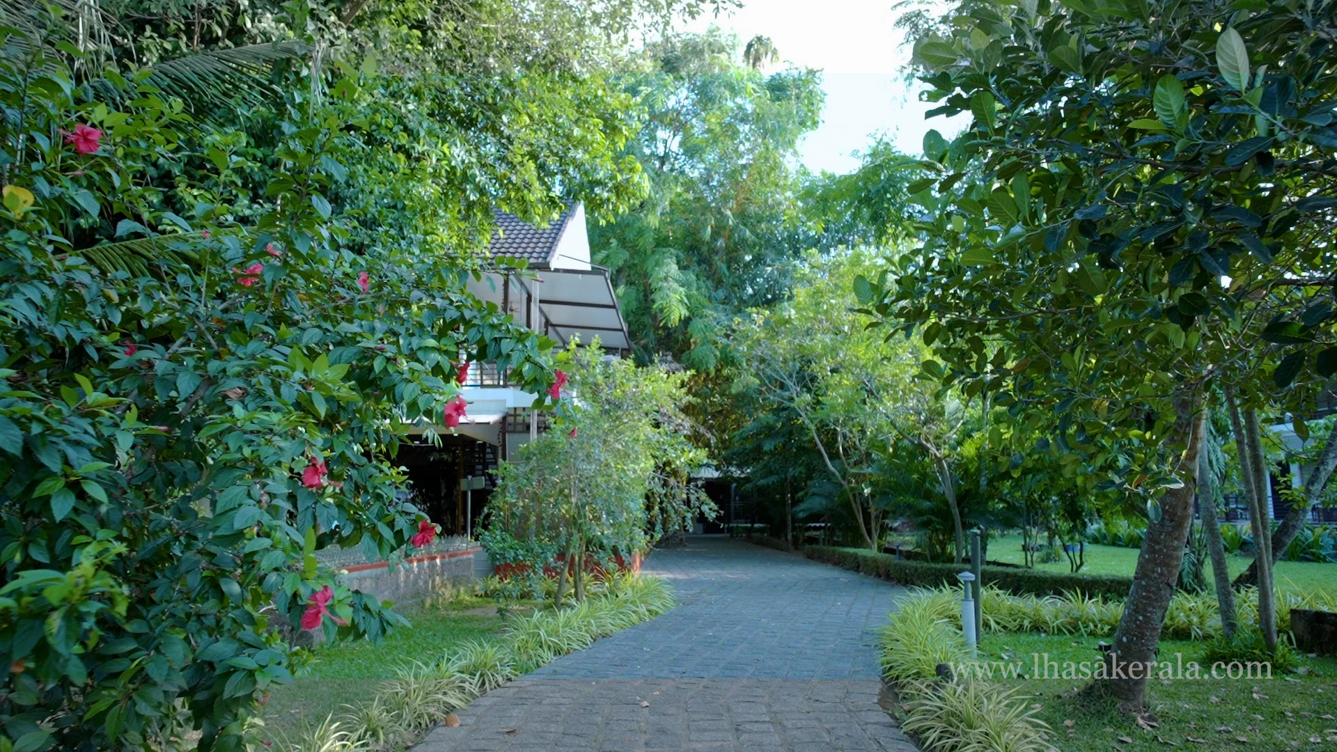 bg1744878647.webp