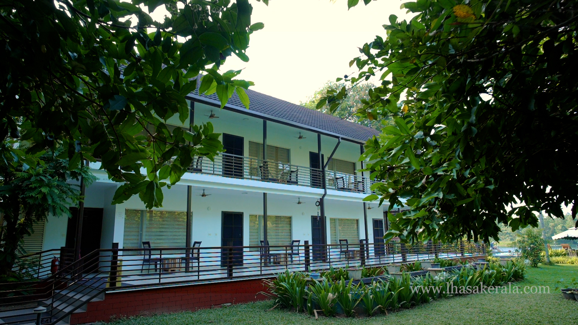 lhasagallery 21744878650.jpg