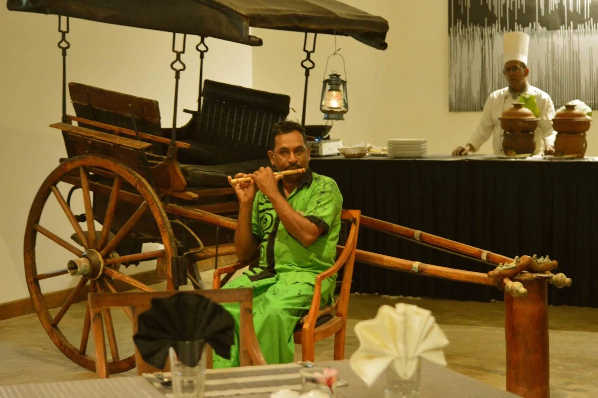 5 days ayurvedic rejuvenation near the beach wadduwa sri lanka 121745405643.webp