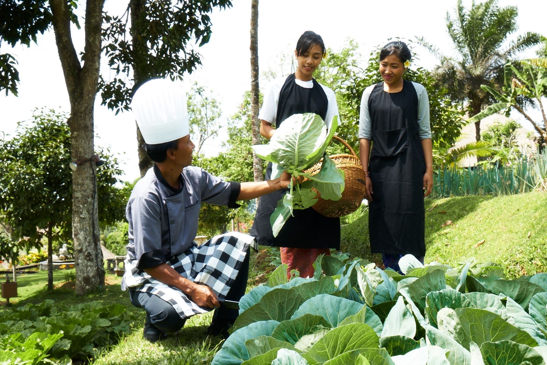 bagus jati health  wellbeing retreat 131745489092.jpg
