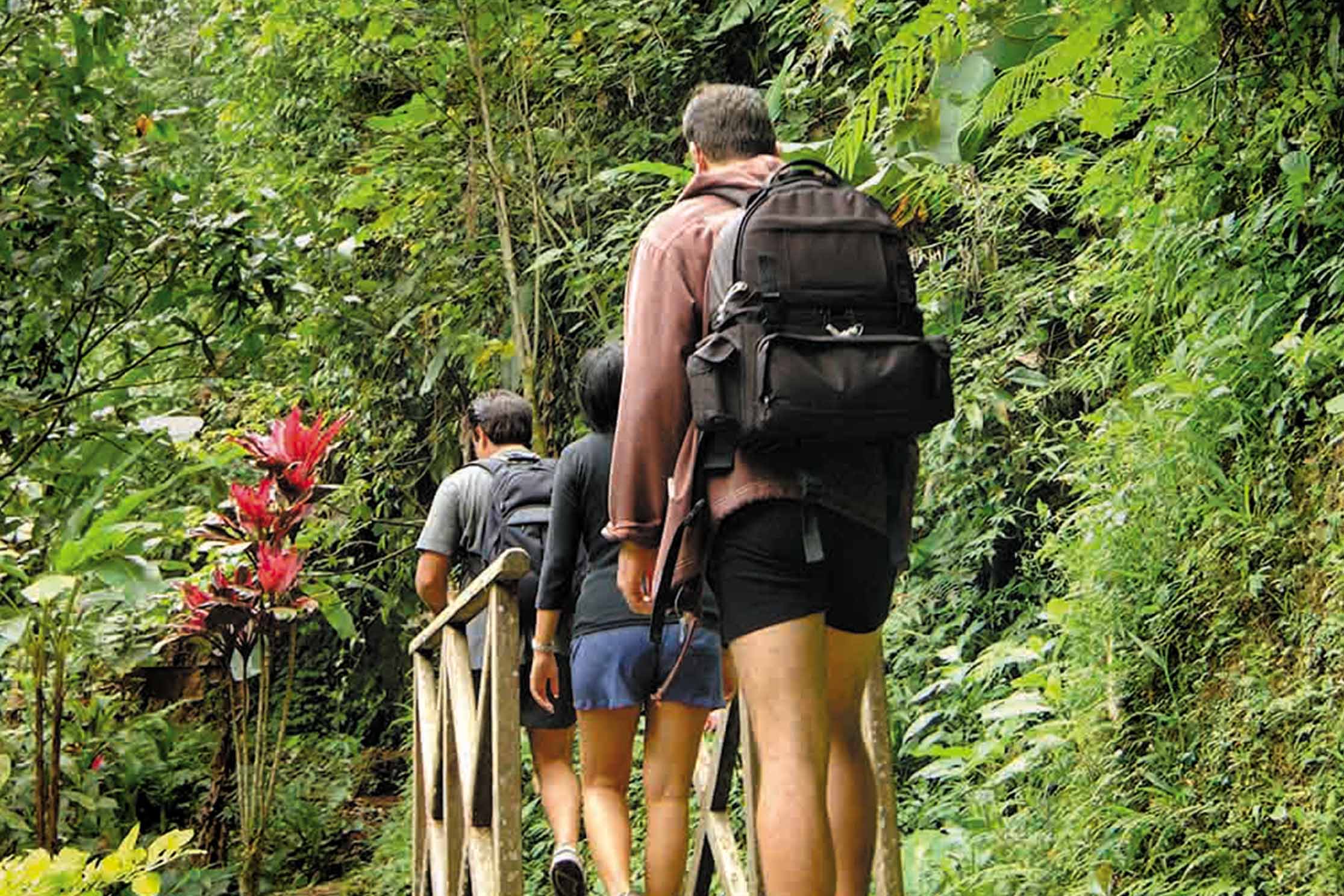 bagus jati health  wellbeing retreat 391745490884.jpg