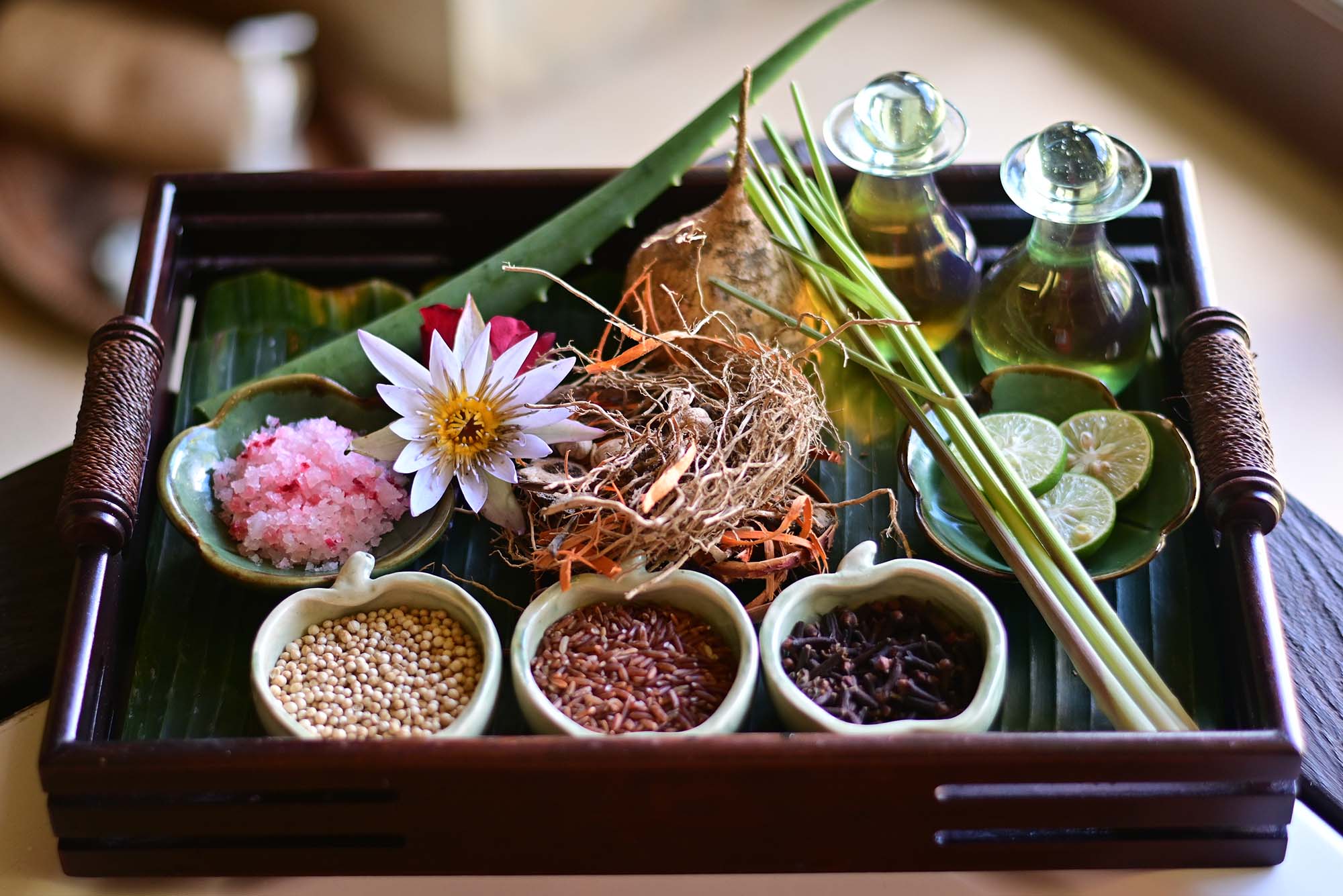 bagus jati health  wellbeing retreat 591745490125.jpg