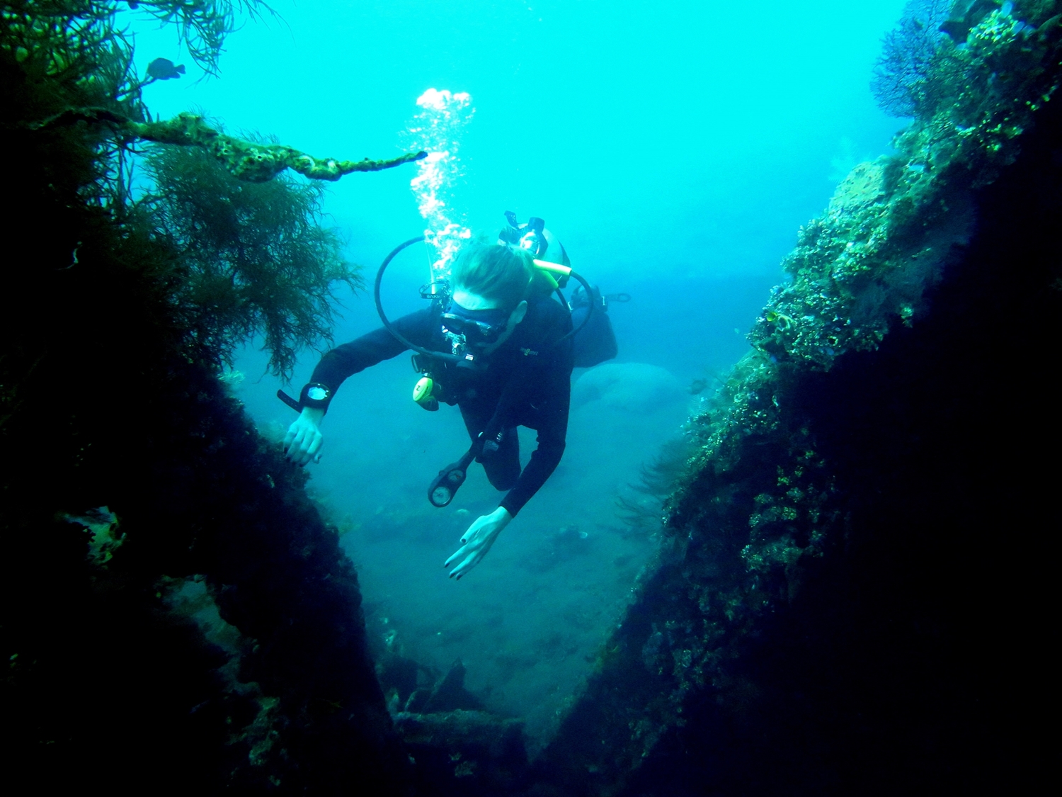 harmonydiving61745569047.jpg