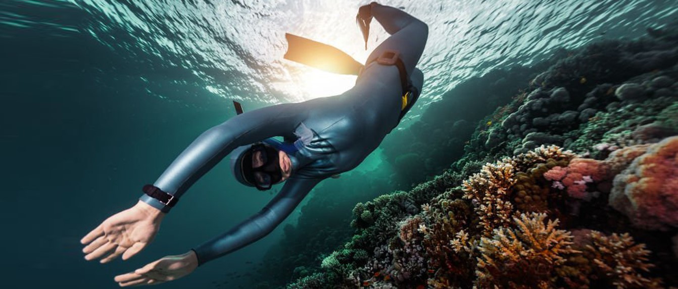 bannerfreedive1920x57211745651246.jpg
