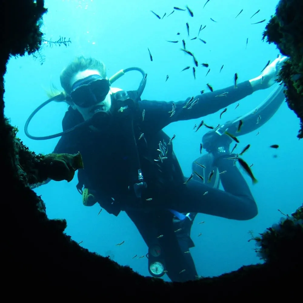 diving1745651220.webp